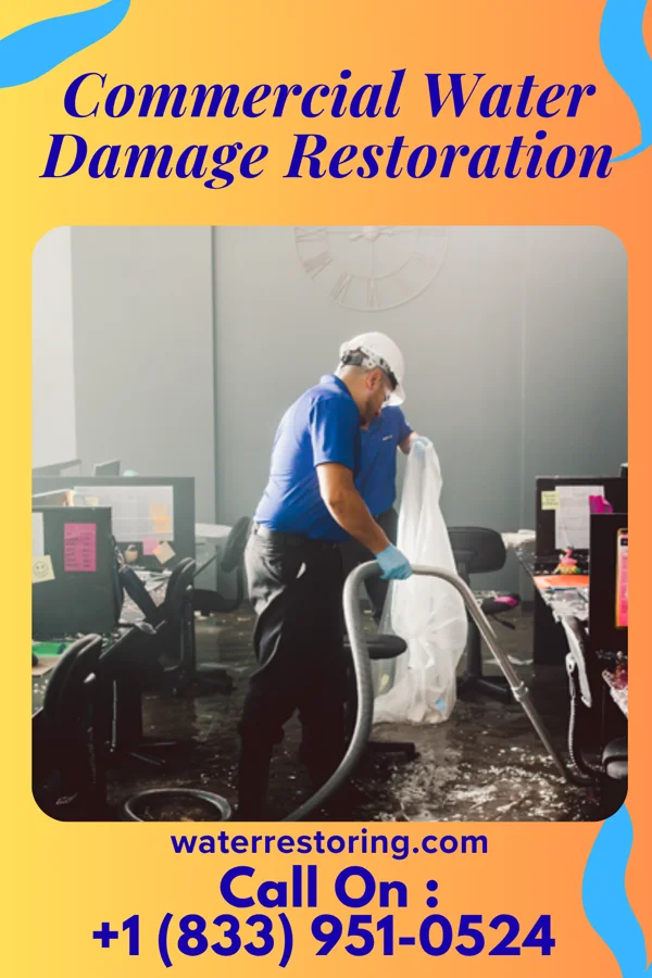 Commercial Water Damage Restoration in Proctorville, NC