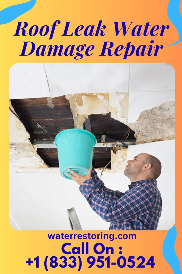 Roof Leak Water Damage Repair in Proctorville, NC