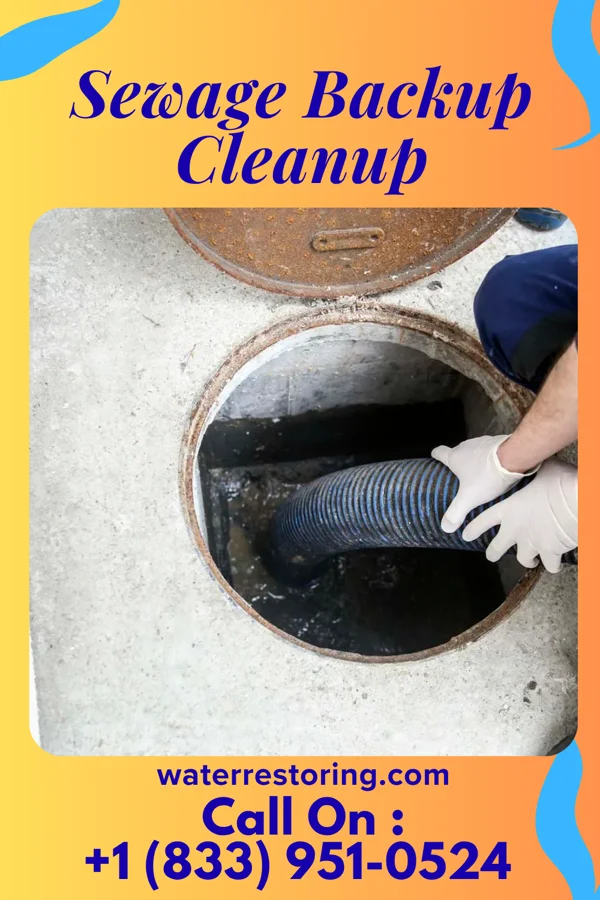 Sewage Backup Cleanup in Proctorville, NC